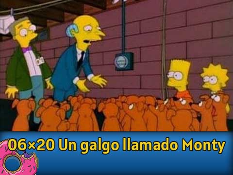 Dos docenas y un galgos