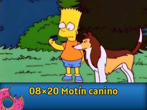 El motín canino